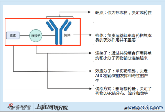 免息配资 国产ADC百家争鸣，为什么科伦博泰成为资本宠儿？2